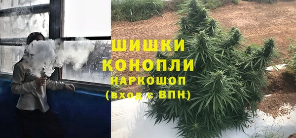 дмт Бронницы