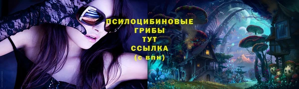 мяу мяу мука Бородино