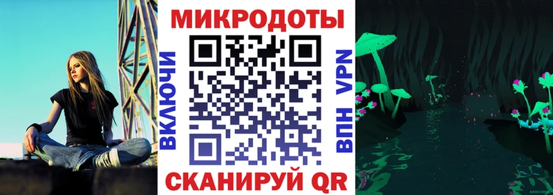 MEGA ССЫЛКА цена Гусев Псилоцибиновые грибы MAGIC MUSHROOMS