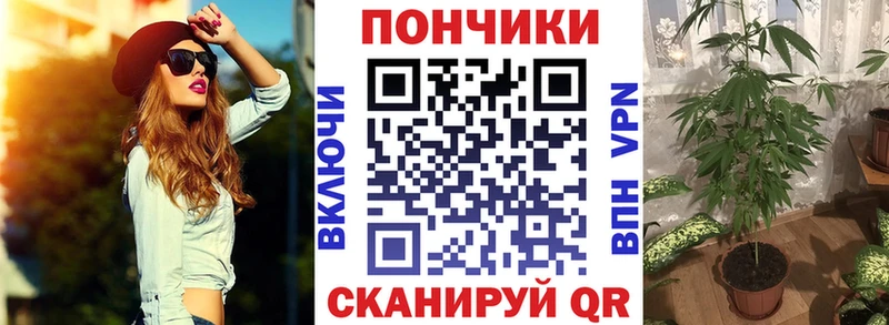 Бошки марихуана семена Гусев